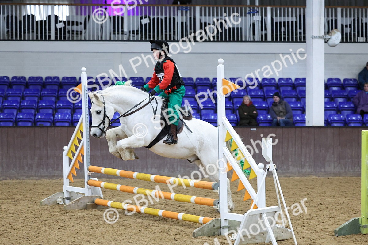 SBM_001215 - Class 3 - Christmas Tree Stakes - 60cm