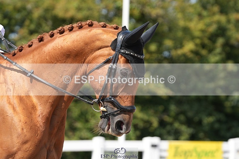 250817-123614-09389 - 175-Michelle.TaylorLeonardo