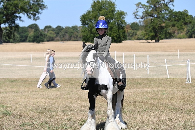 WJ6_9028 - Class 38 Ridden Riding Horse/Pony
