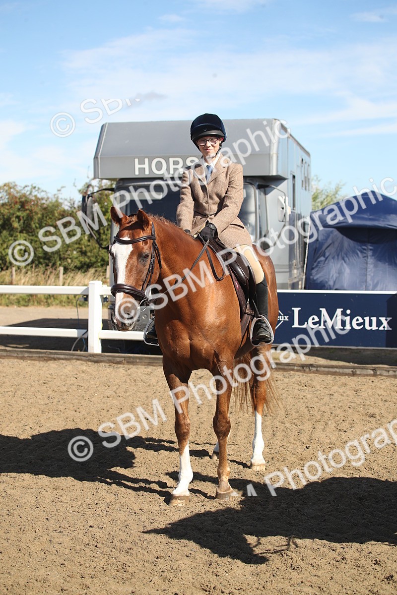 SBM_12770 - Class 504b - Junior Working Veteran - 40cm (20+)