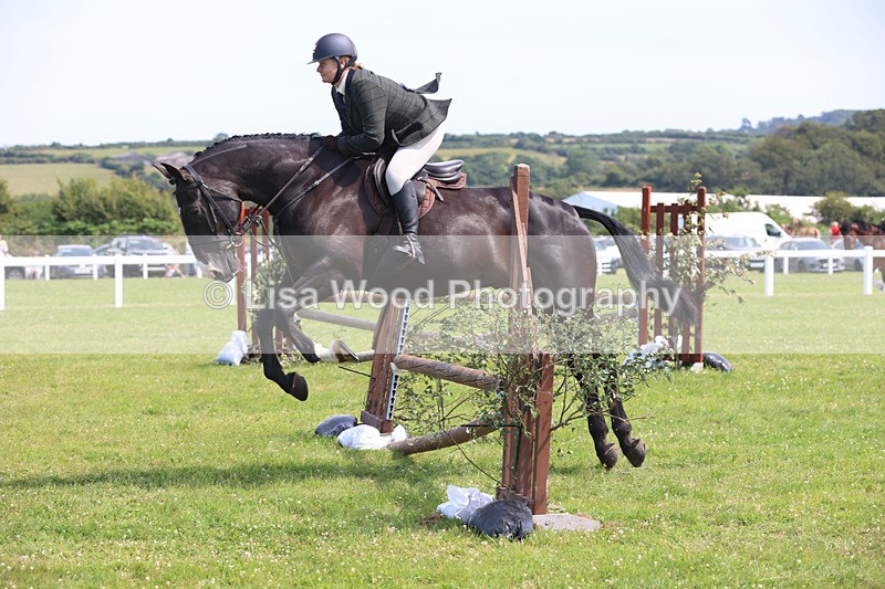JPP_3587 - Class 23: Working Hunter 80cm