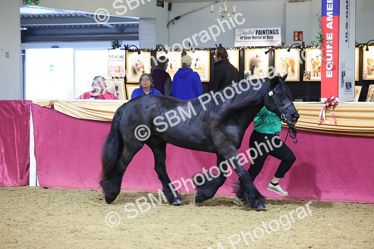 SBM_19587 - Class 901 - Supreme Final - IH Diamond