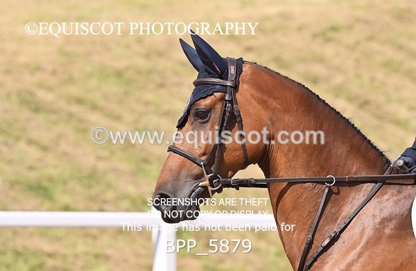 BPP_5879 - CLASS 10 THURS Nupafeeds Senior Dicovery/1m open