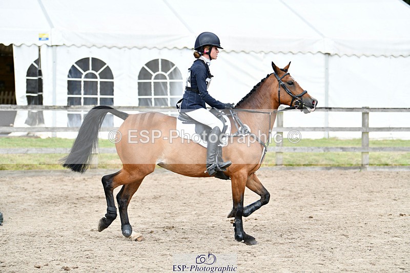 240825X-151917-35901 - 80cm SJ 14.00 to 15.55