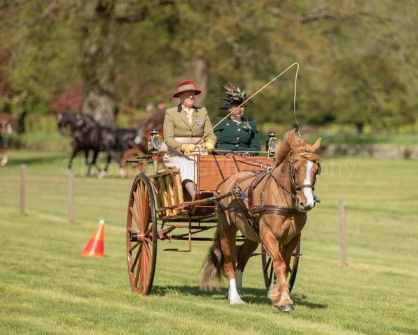 Attelage -674 - CIAT Glamis 2026