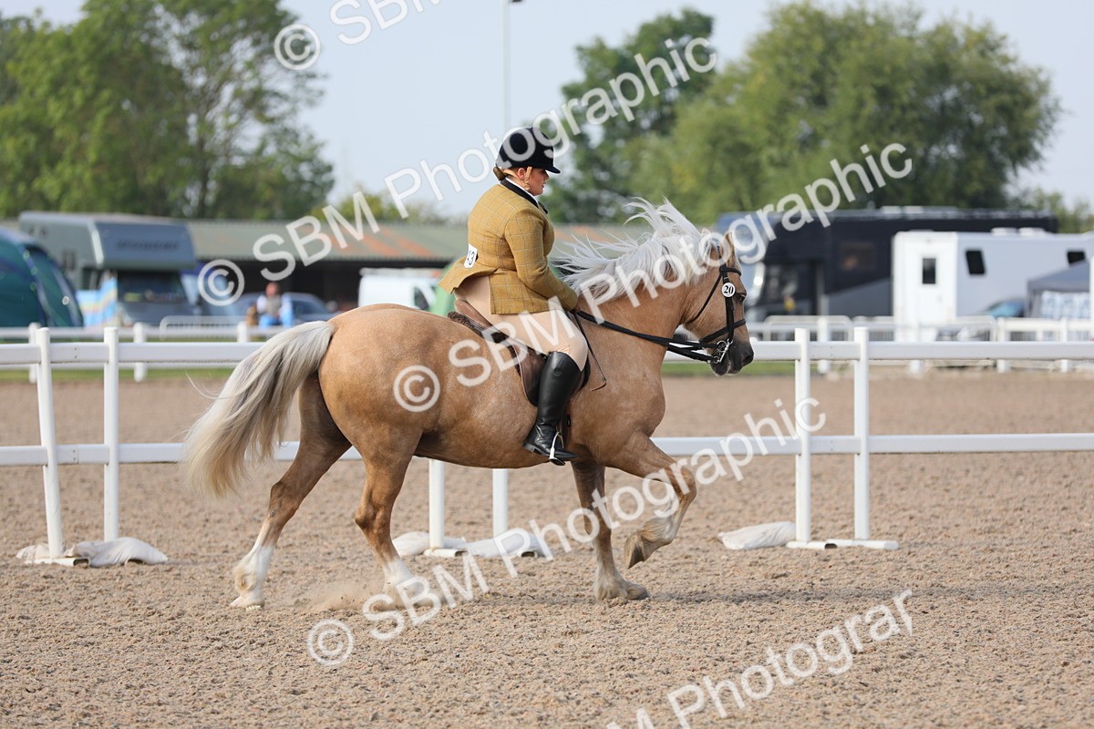 SBM_10112 - Class 302 Ridden M&M -Large Breeds
