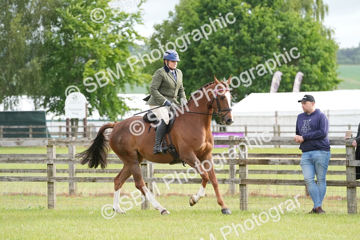 SBM_10575 - Class 97-98 - LIHS BSHA Rising Star Working Show Horse Hunter