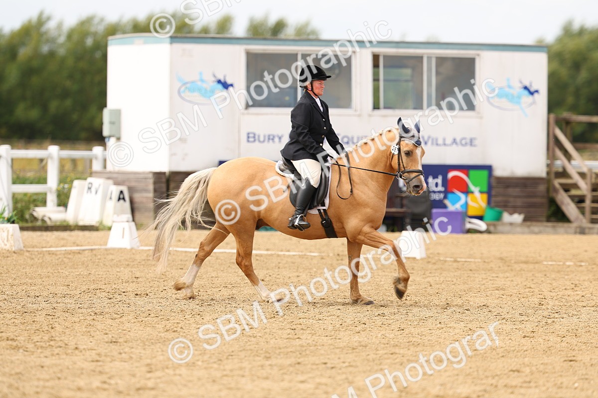 SBM_012229 - Class 2 - Prelim 19 11.39-12.56