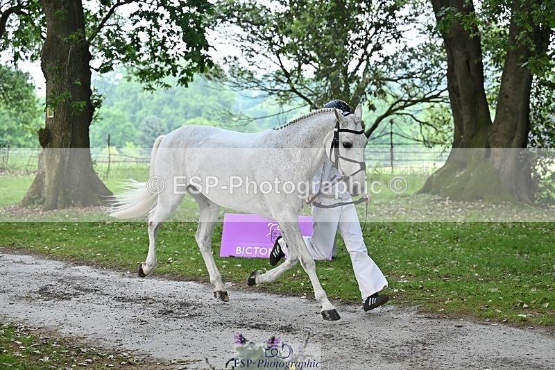260528A-175408-05602 - A-120-Florence.Drewitt