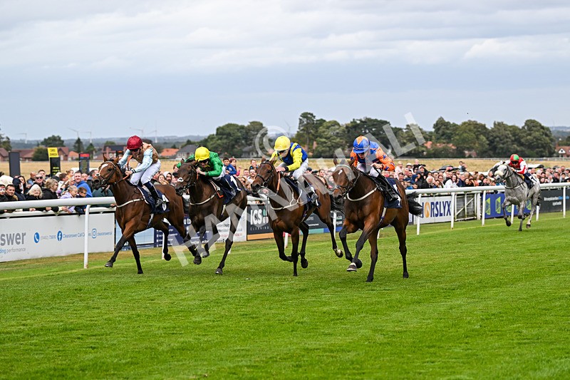 250824-Race 3-Blueandtangerine-3238 - Race 3