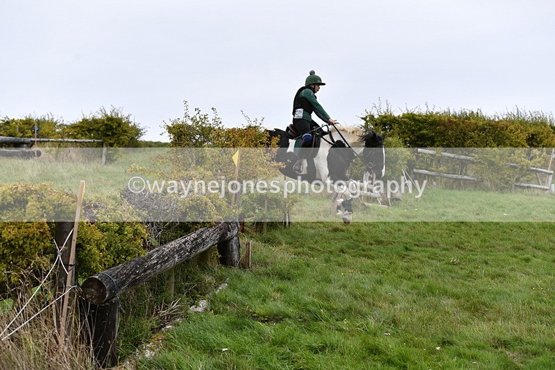 WJ5_6194 - Time 12:00 to 12:21