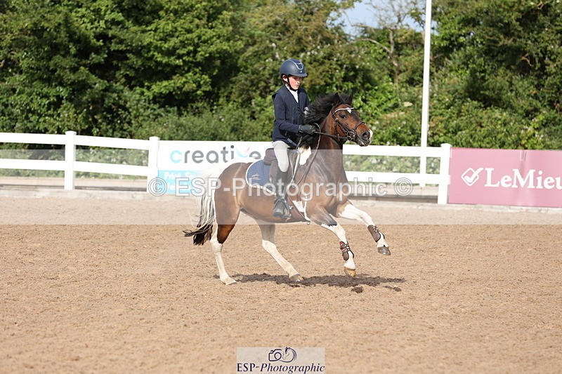 240629A-085425-02761 - Cls 16 British Novice and 80cm Open