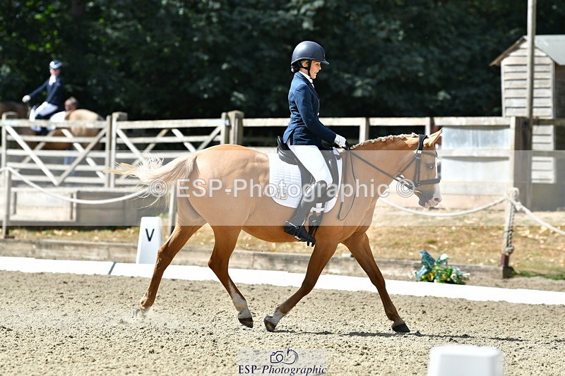260801A-105830-03316 - Premin Silver Start - 11.35