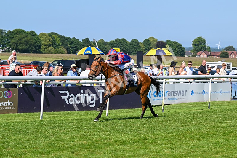 250624-Race 5-Drink Dry-5785 - Race 5