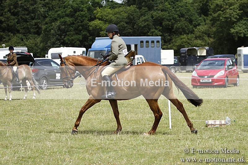 BVR160717-1824 - Ring 3 BVRC Show 16/07/17