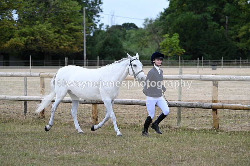 WJ7_8803 - Class 4a Prettiest Mare 14.2hh and over