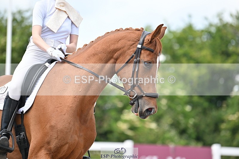 240621A-123306-02156 - Cls 7 BD Elementary 45