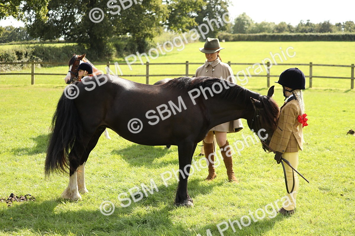 SBM_67815 - S39 - Junior Handler 8  Years & Under