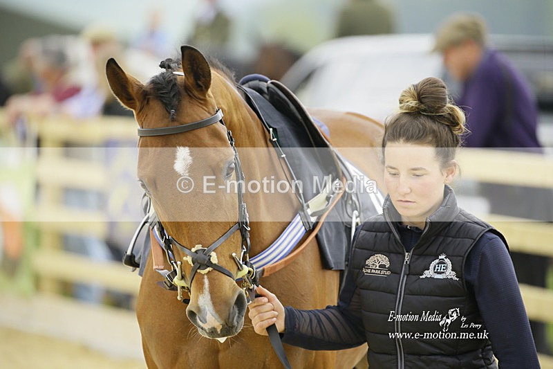 PtP 020522 58 - Mollington Races Point-to-Point 02/05/22