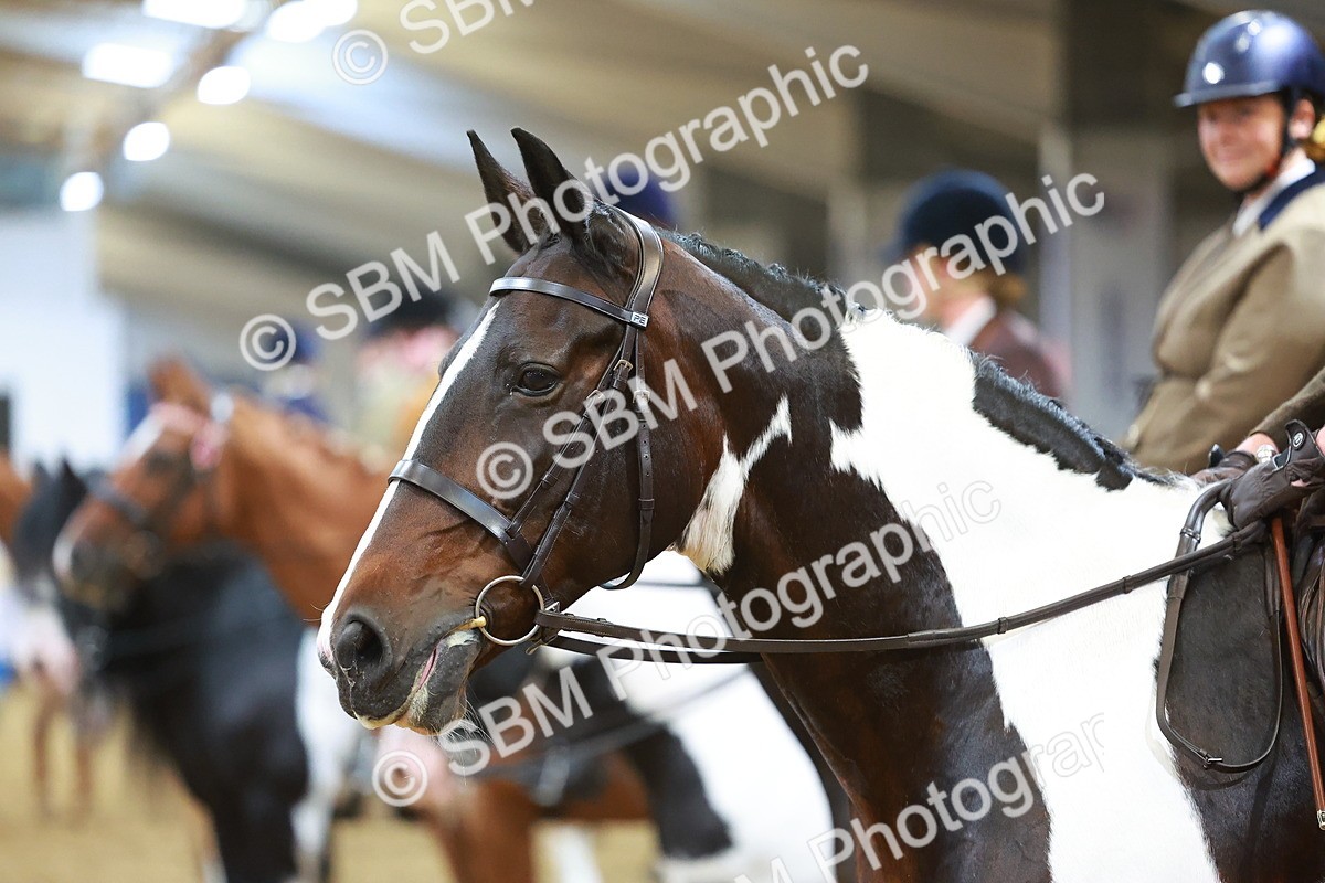 SBM_09679 - Class 102 - HOYS Veteran Qualifier - Ridden Veteran