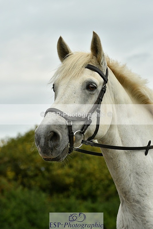 230817-152238-01475 - Theo's 2nd Group - XC