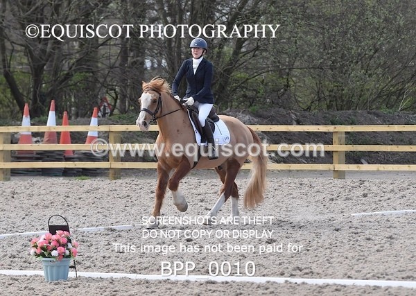 BPP_0010 - MY QUEST NOVICE 2