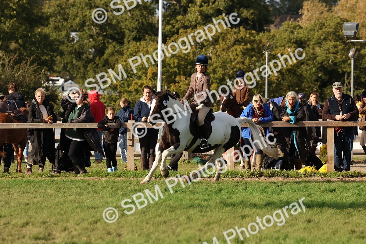 SBM_52605 - S13 - Pony Club Pony