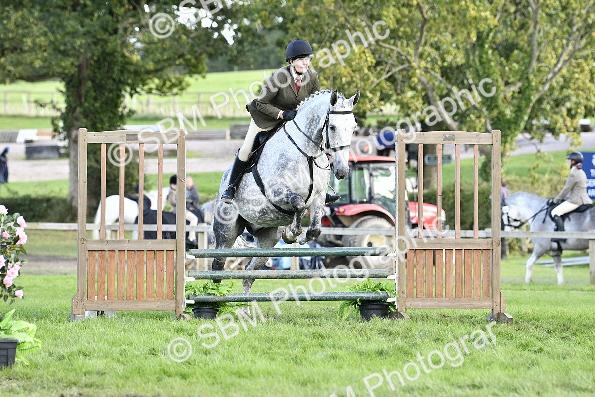 SBM_52161 - S35 - Working Hunter & Working Show Horse