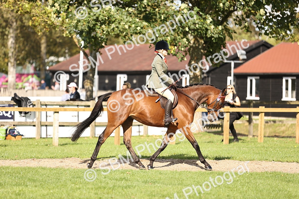 SBM_26339 - S6 - Novice & Newcomers Ridden Horse