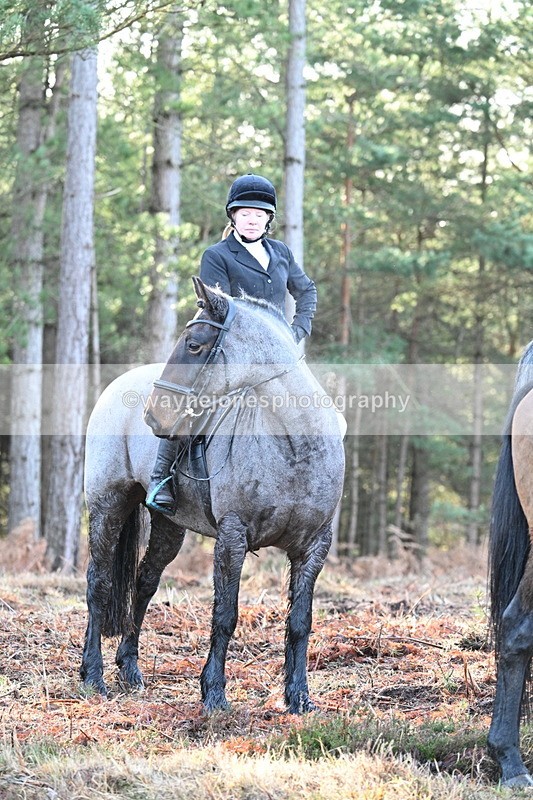 WJ7_7449 - Line 3 (no line 4 or 5)