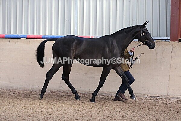 SIAL9293 - Indoor Classes