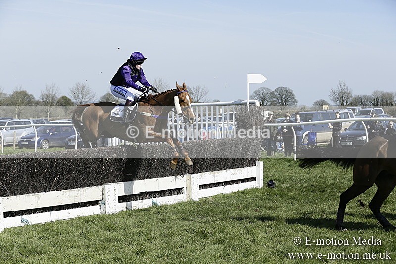 PtP 260317 84 - Mendip Farmers Point-to-Point Ston Easton 26/03/17