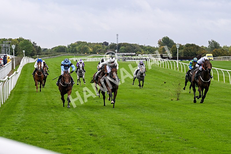 011025-Race 1-Edgewater Drive-0034 - Race 1