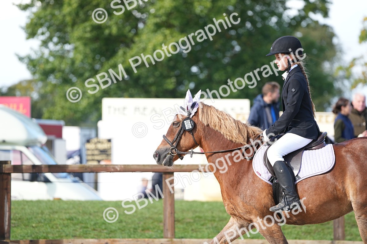 SBM_38243 - J6 - Junior Pony 55cm Championship