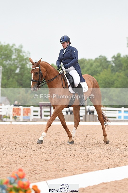 230630A-134802-02041 - Cls 17 FEI PSG