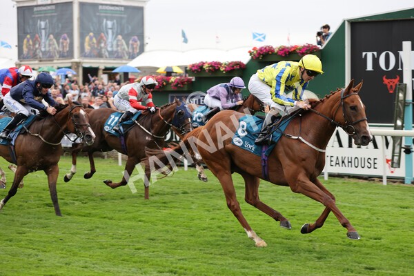 yr22072022r3-53 - Race 3 6.20pm Tomahawk Stakes