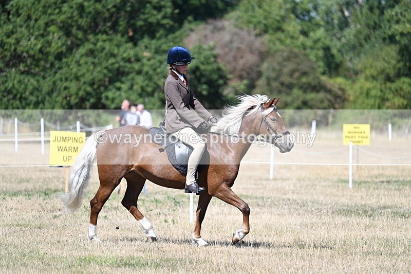 WJ7_4019 - Class 9 Mountain & Moorland Ridden