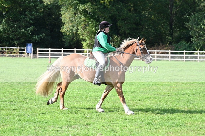 WJ7_3479 - 40cm Time 10:08 to 10:25