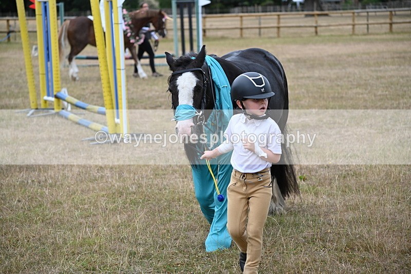 WJ6_8798 - Class 11 Fancy Dress