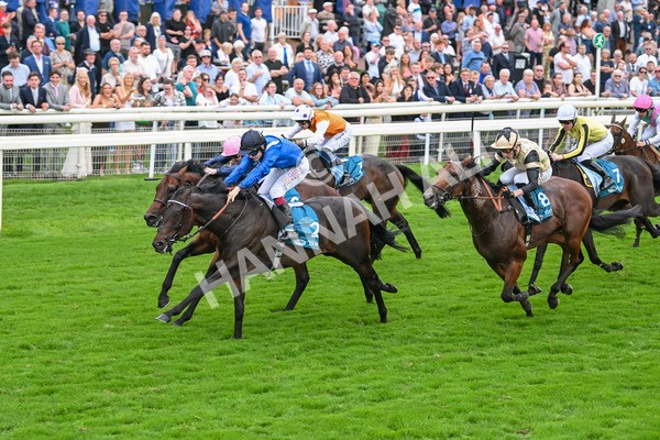 080925-Race 5-Elmonjed-7704 - Race 5 4.30pm Sky Bet Starman Garrowby Stakes