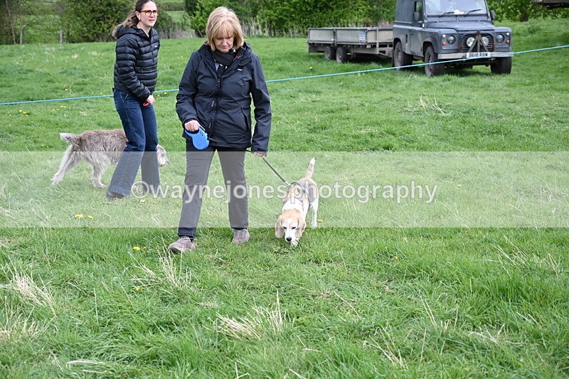 WJ6_8140 - Class 2 Best Pedigree