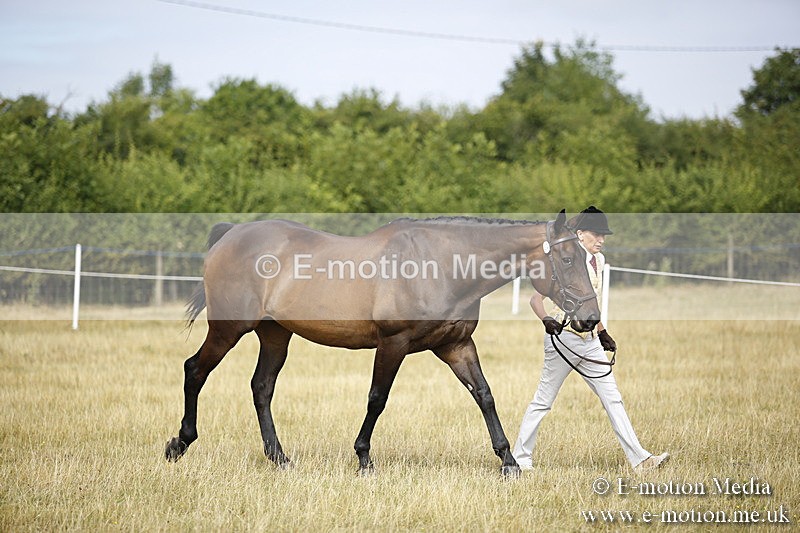 _C7A9376 - BVRC Sow 2018 Ring 2