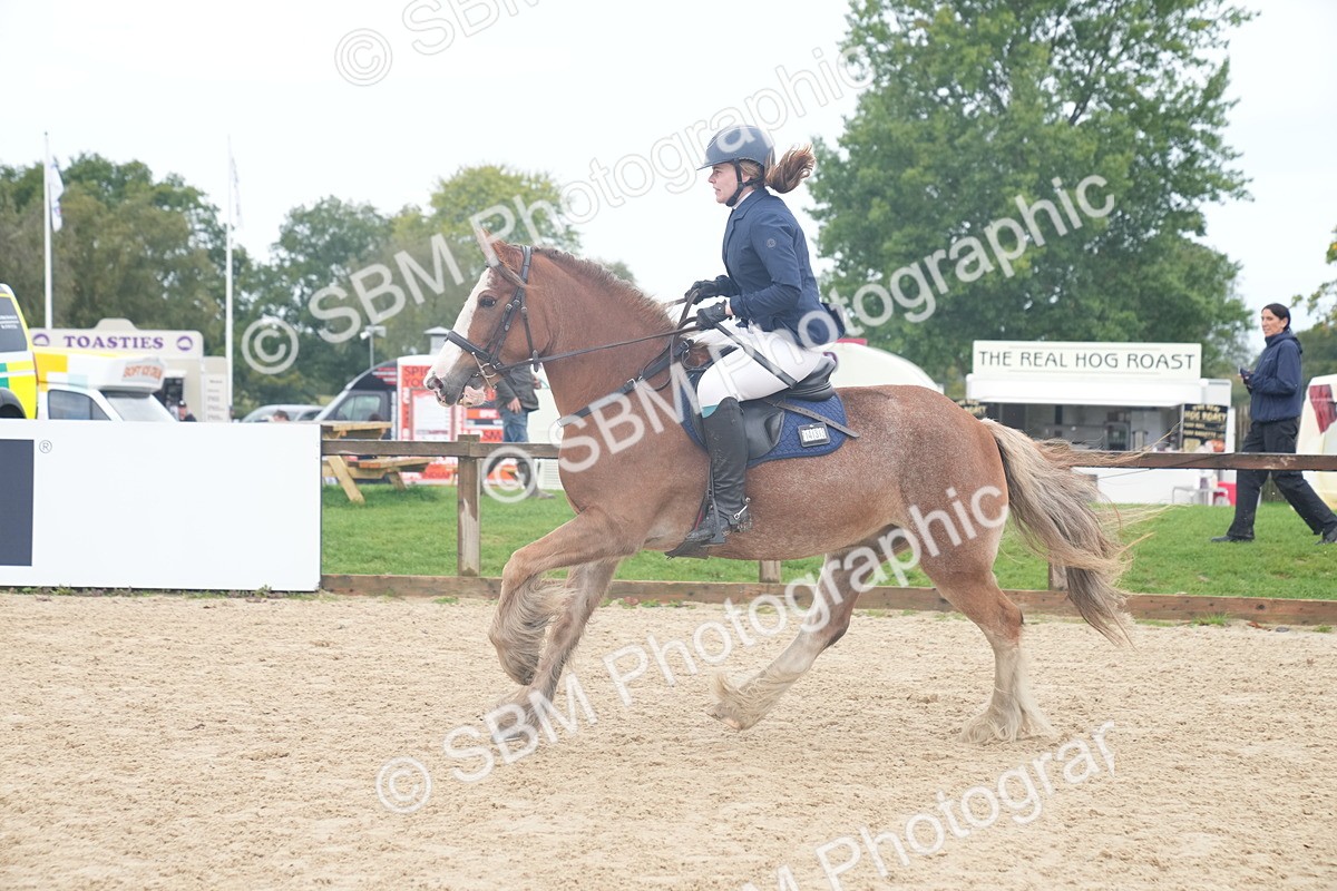 SBM_01847 - J54 - Clear Round 50cm