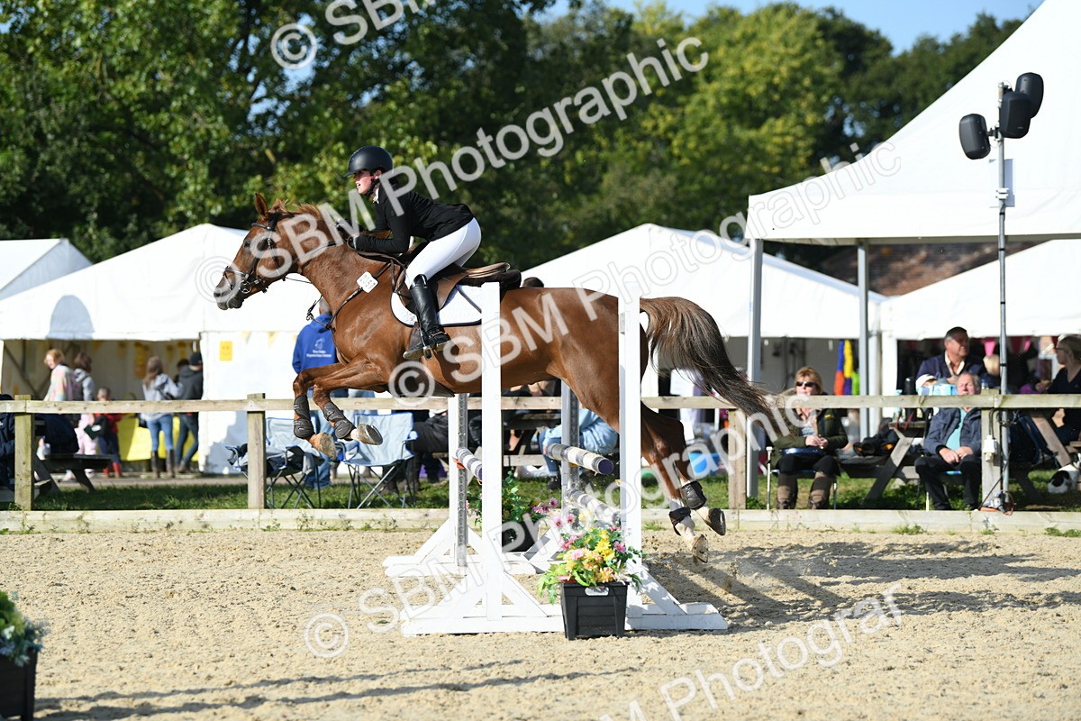 SBM_60508 - j25 - Junior Horse 80cm Championship