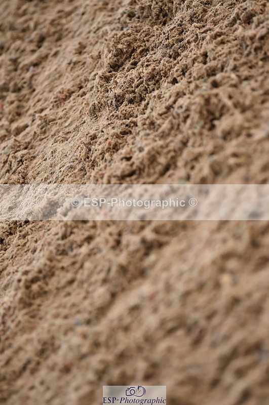 231029A-110912-02568 - Pony British Novice & 80cm Open