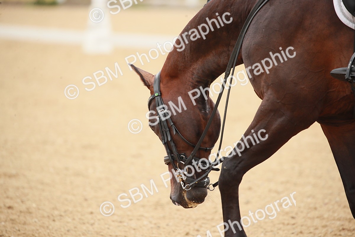 SBM_005128 - Class 4 - Medium 6 - 13.28-14.16