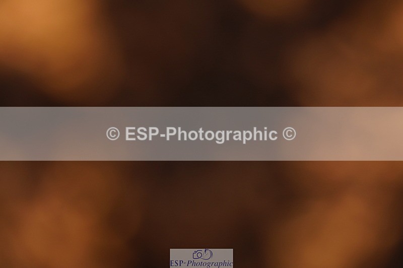 240628A-200332-01198 - Cls 4 1.10m Open