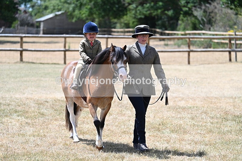 WJ7_2651 - Class 6 Ridden Mountain and Moorland
