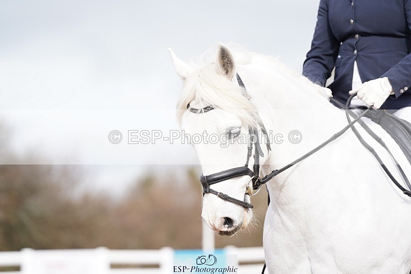 250322-101050-00132 - DR Prelim 2 Test