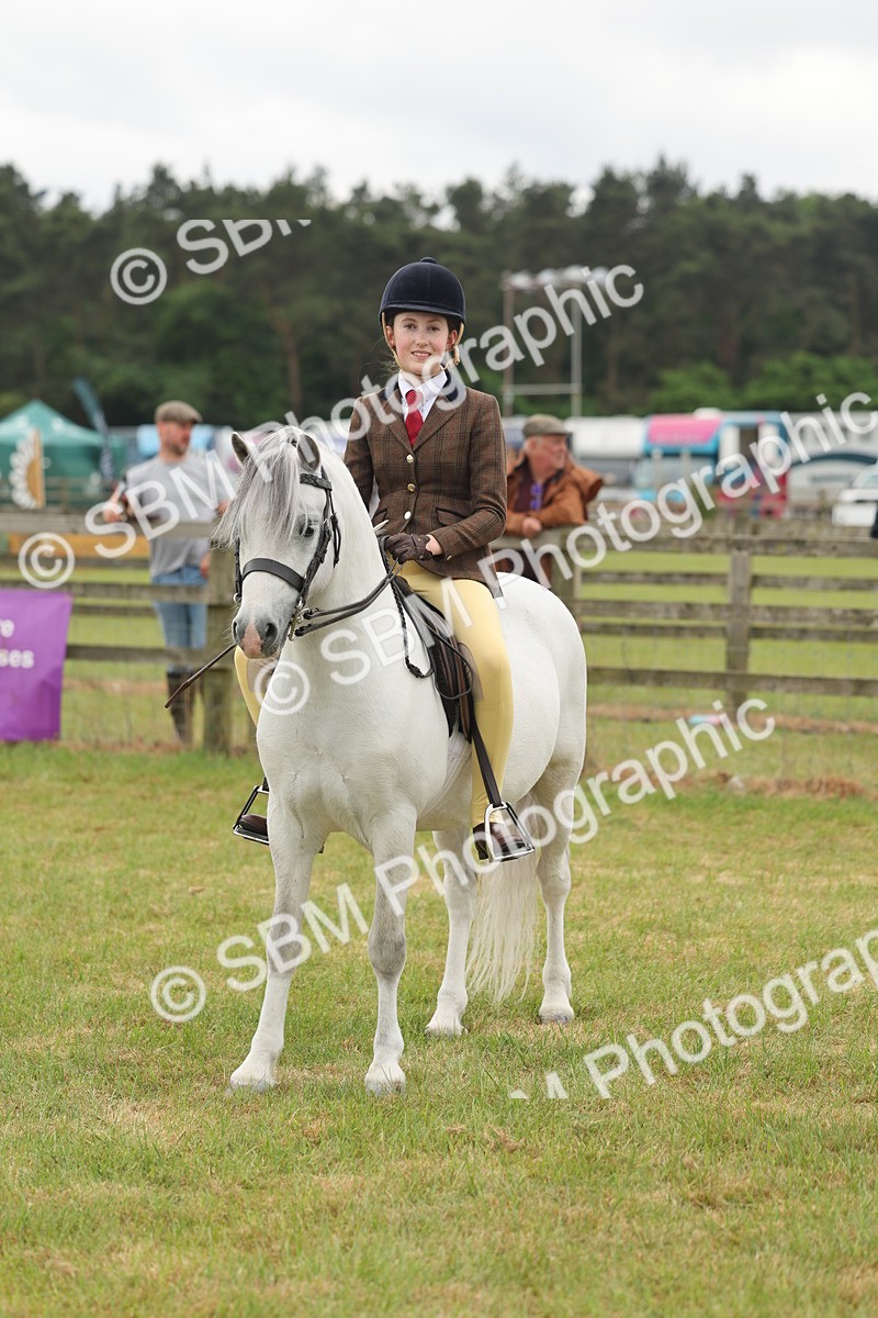 SBM_07125 - Class 76-77 - Ridden M&M Welsh Ponies